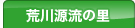 �r�쌹���̗�