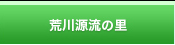 �r�쌹���̗�